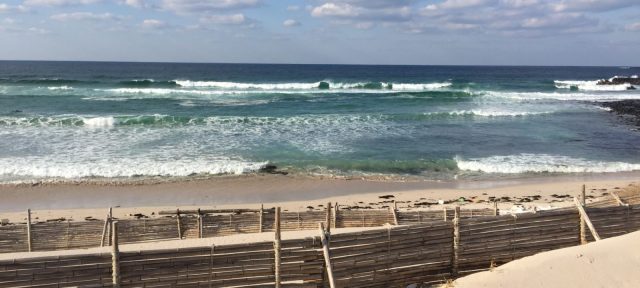 The Beach