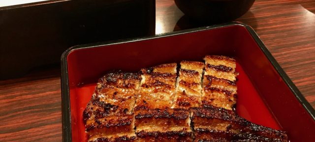 Eel