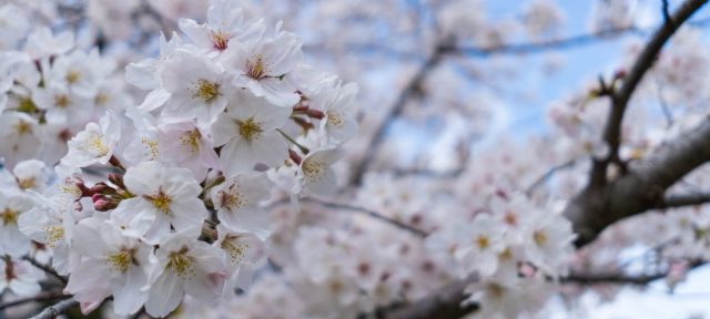 Spring