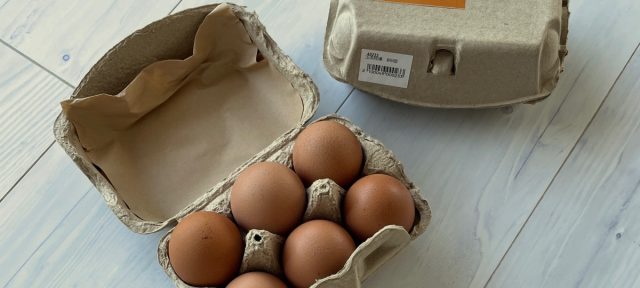 Egg