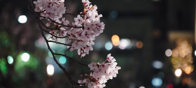 Spring