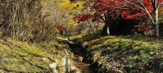 Autumn