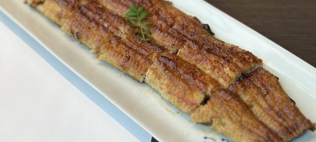 Eel