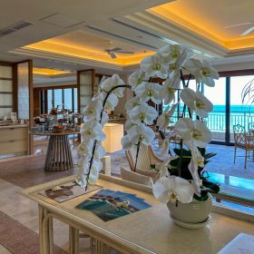 Jul 01, 2024 @ 20:45