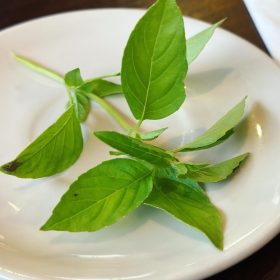 Jul 08, 2024 @ 23:35