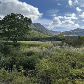 Oct 13, 2024 @ 09:35