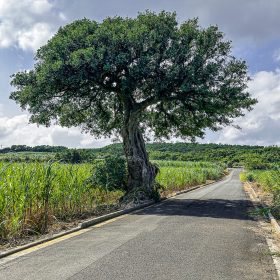 Nov 03, 2024 @ 23:48