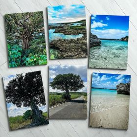 Nov 08, 2024 @ 19:04