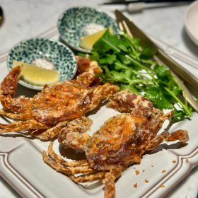 Nov 23, 2024 @ 20:48