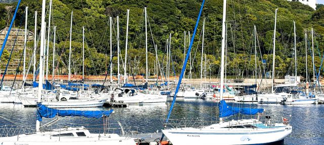 Harbor