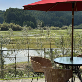 A perfect view to unwind.